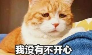 网友晒“回南天” 网友晒“回南天”